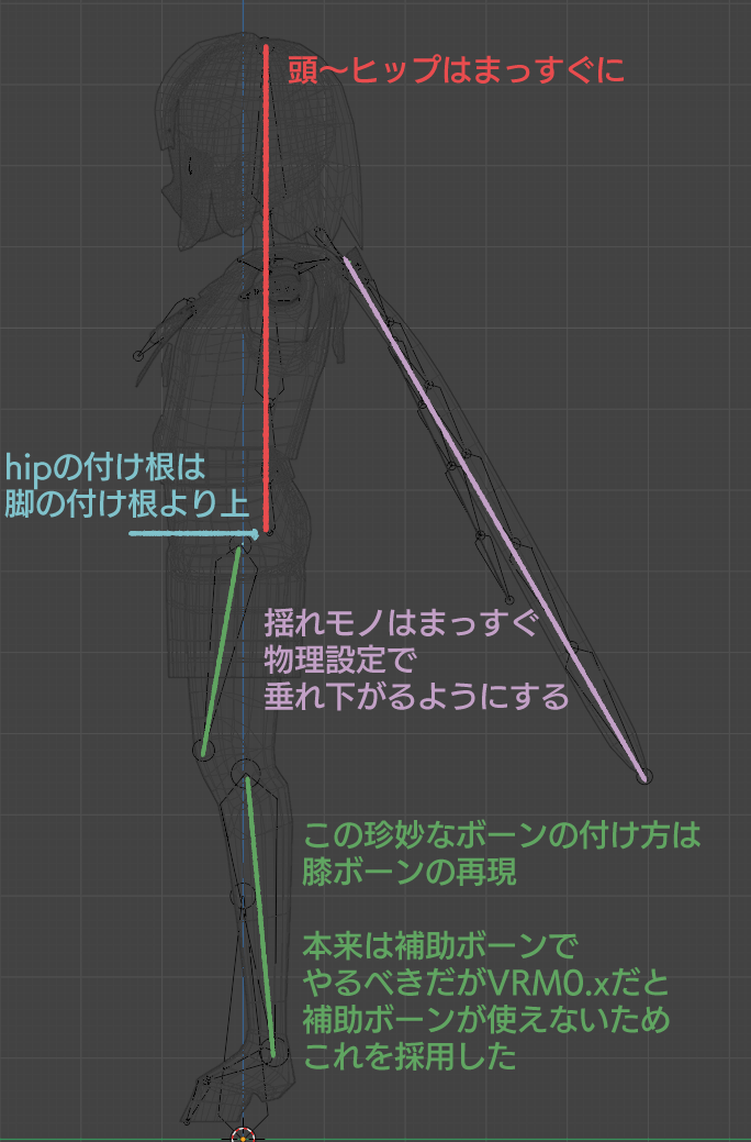 横から見たボーン