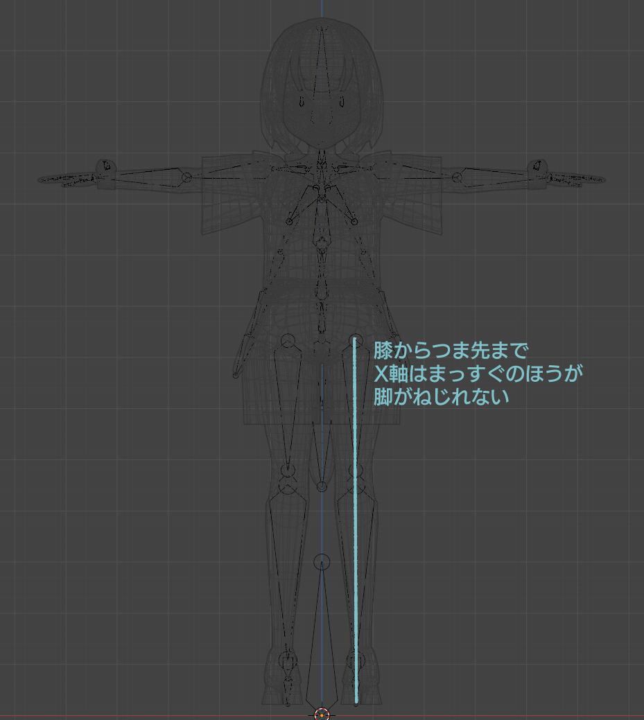前から見たボーン